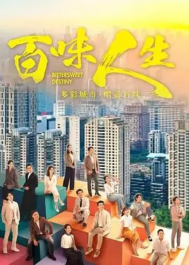 都市剧城市夜归人海报
